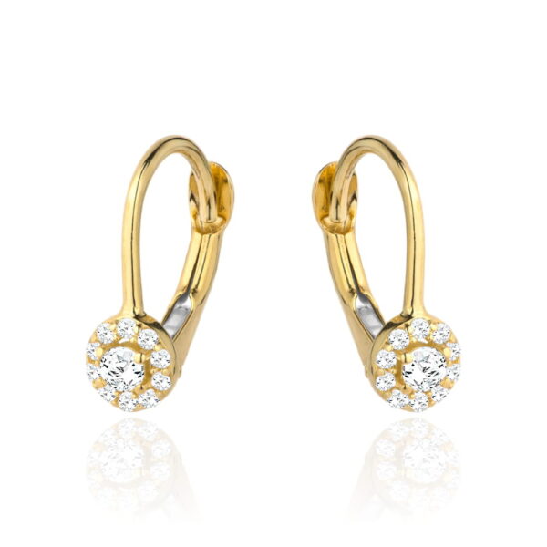 Kolczyki kwiatek z cyrkonii w złotym kole